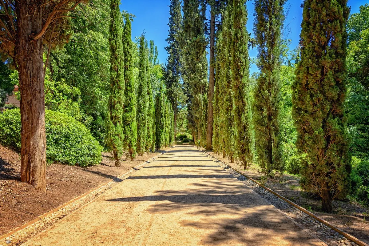Outdoor Lighting for UK Gardens: A Seasonal Safety and Security Checklist